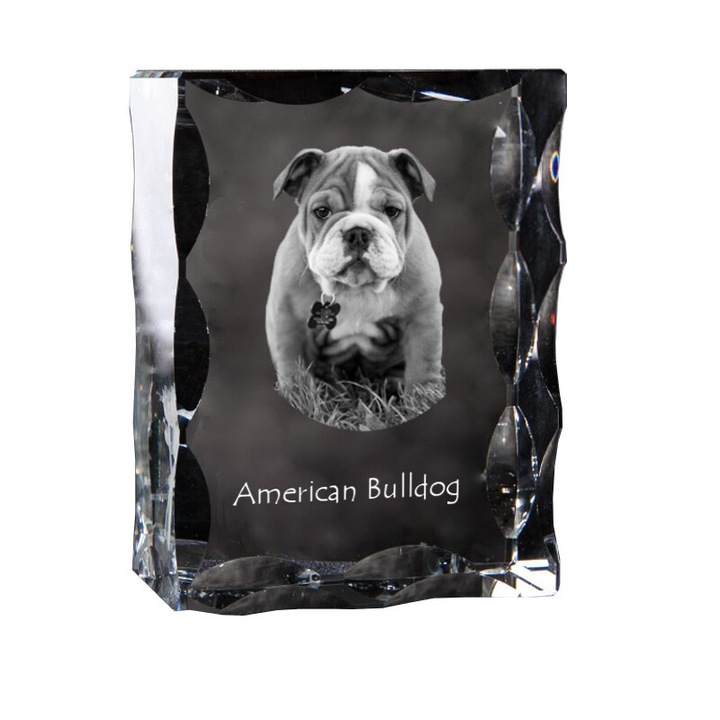 Tablou din cristal Art-Dog, American Bulldog, 12x9x5cm
