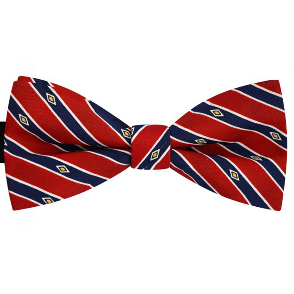 Papion barbati rosu bordo, clasic, model dungi bleumarin