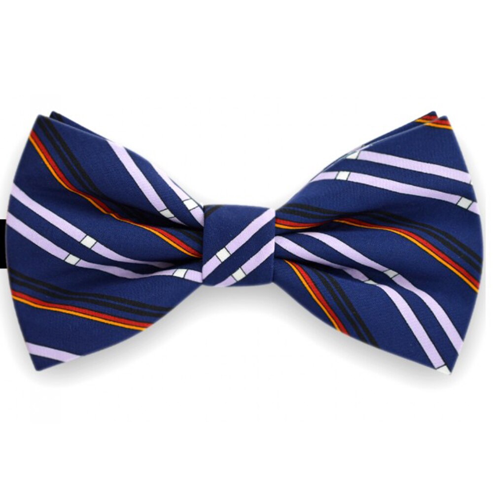 Papion butterfly, albastru, model dungi asimetrice