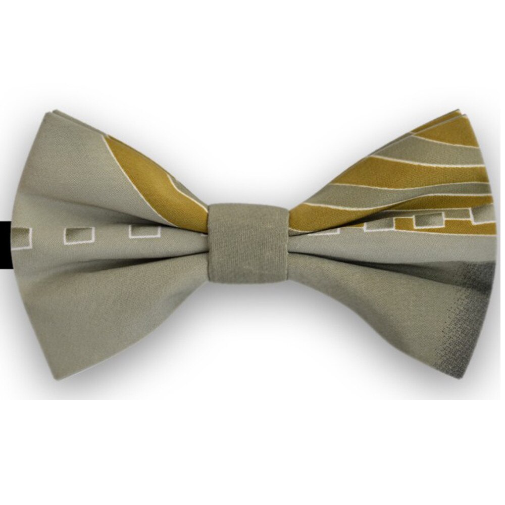 Papion barbati, gri, model, dungi late