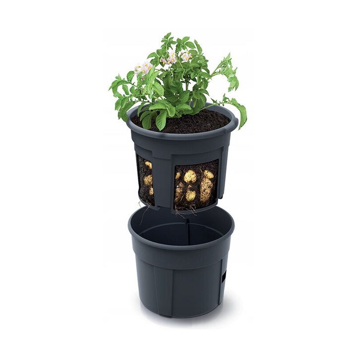 Ghiveci pentru cultivarea cartofilor Patras, 12L, antracit, 24,5x31x25cm