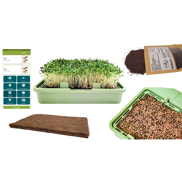 Sistem hidroponic Babylon Garden pentru locuinte XS Verde, 1 cultura, aplicatie inteligenta