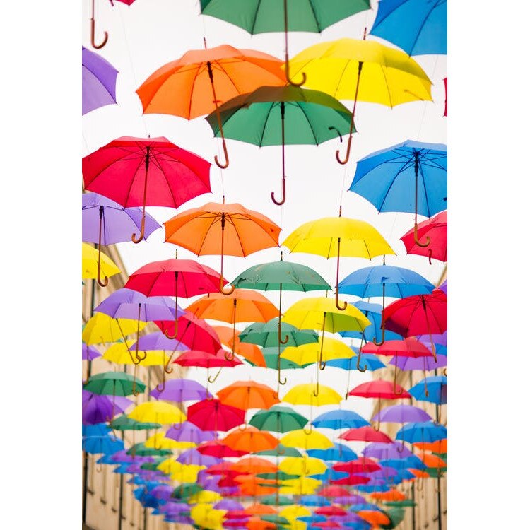 Tablou canvas, Umbrele