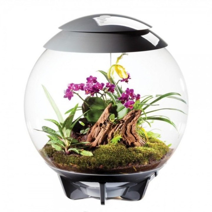 Terrárium biOrb Air 60 literes, szürke