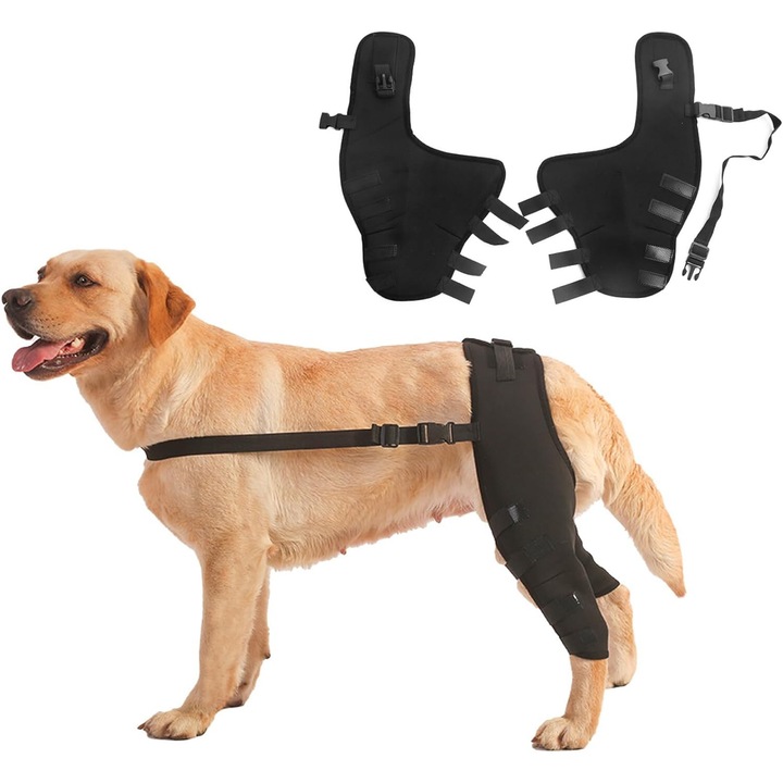 Suport genunchi caini, jalleria, stabilizator dublu, negru, M