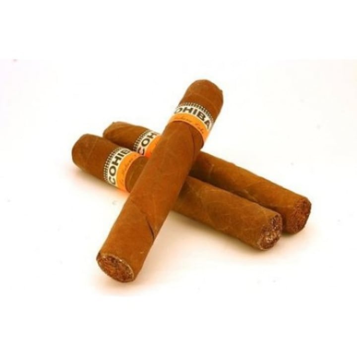 Cutie Trabucuri Cohiba 25 Robustos Cubaneze - eMAG.ro