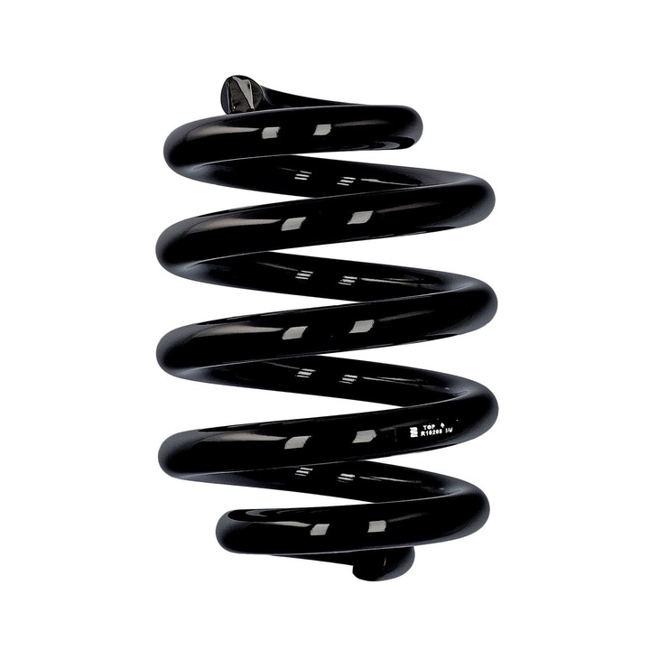 Futórugó, Eibach, R10208