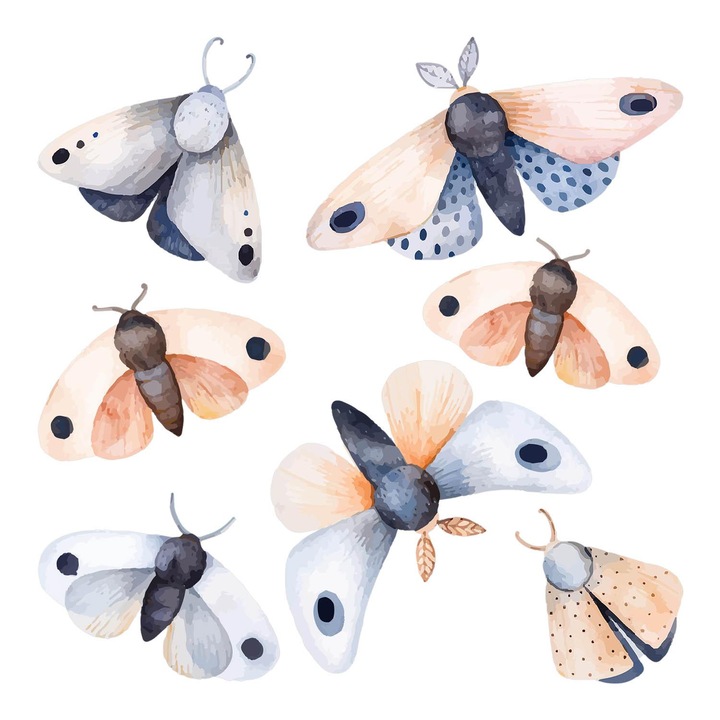 Fali Dekoráció, Coloray, Színes rovarok és pasztellmolyok boho esztétikában, Kék, 60x77 cm, 010120203160000055205