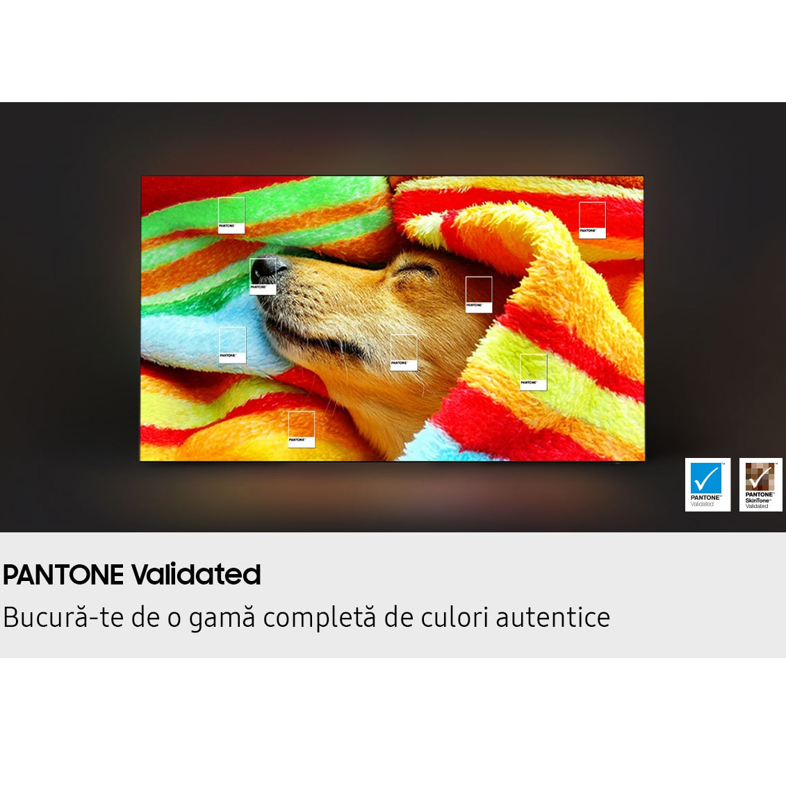 Televizor SAMSUNG OLED 65S85F, 163 cm, Smart, 4K Ultra HD, 100 Hz, Clasa F (Model 2025)