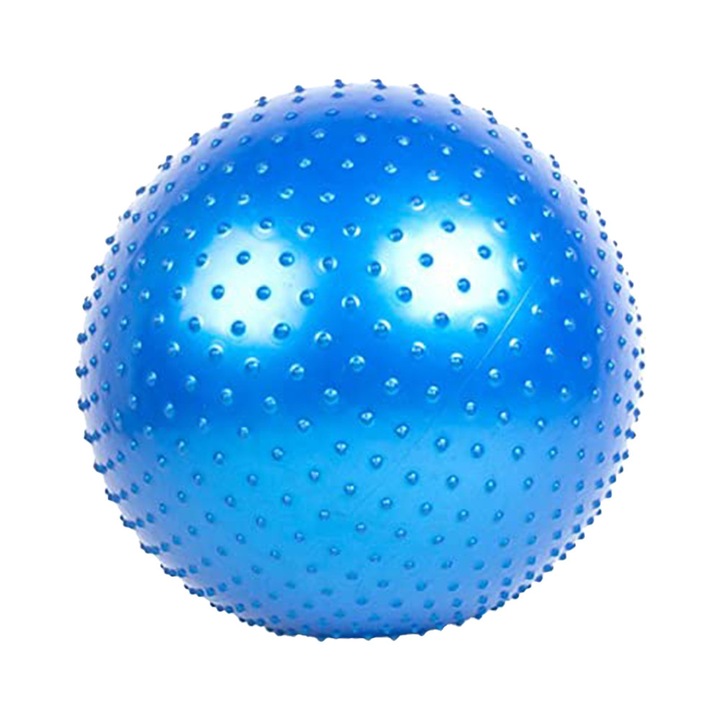 Minge fitness Herusi 55cm albastru cu pompa set
