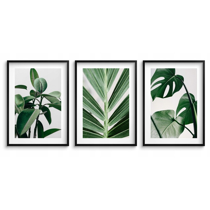 Set Postere Inramate, Naklejkomania, Postere De Inalta Calitate Imprimate In Tehnologie Hd Pe Hartie Fotografica Premium De 240G, Rame Elegante De Culoare Neagra, Usoare Si Durabile, Cu Plexiglas Protector, 100 x 50 cm, Negru, 3 Bucati