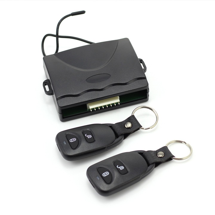 Set inchidere centralizata cu telecomanda, Briggs