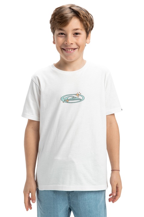 QUIKSILVER, Mintás organikuspamut póló, Törtfehér/Világoskék