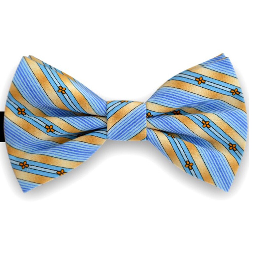 Papion albastru, model floral