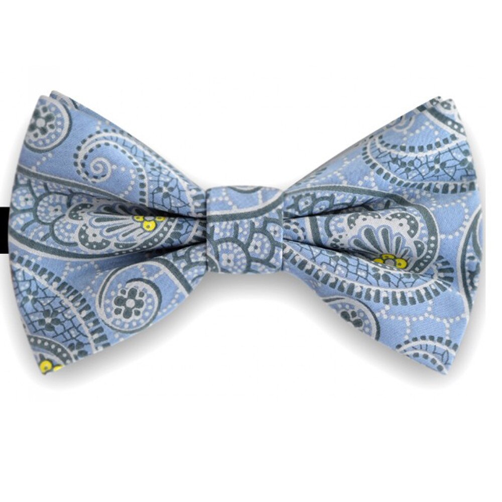 Papion, albastru, imprimeuri paisley