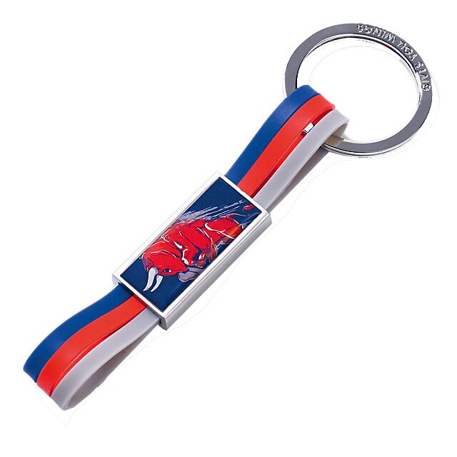 Breloc Toro Rosso, Multicolor