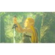 Игра Legend of Zelda: Breath of the Wild за Nintendo Switch 2