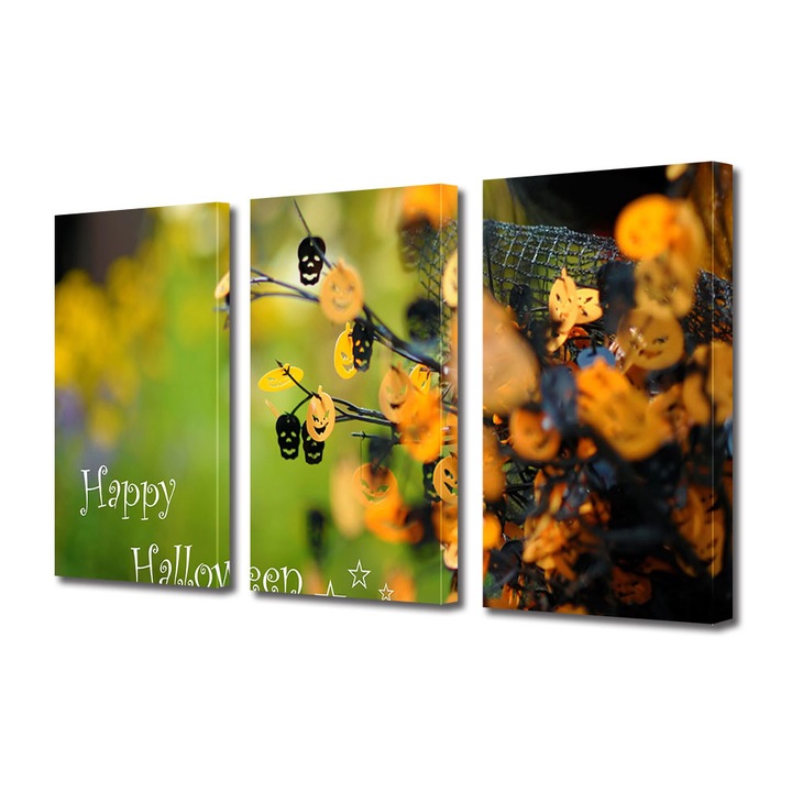 Set Tablouri Multicanvas 3 Piese Halloween Buchet de Halloween, 100 x 210 cm