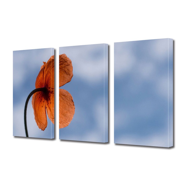 Set Tablouri Multicanvas 3 Piese Halloween Mac pe cerul albastru, 100 x 210 cm