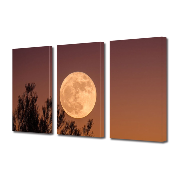 Set Tablouri Multicanvas 3 Piese Halloween Luna plina dupa apus, 100 x 210 cm