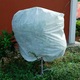 Netesut pentru plante Husa rezistenta la inghet Plante de iarna Husa de protectie rezistenta la frig Husa de protectie rezistenta la vant si la frig cu fermoar Panza de protectie impotriva inghetului pentru plante in ghivece Pomi fructiferi