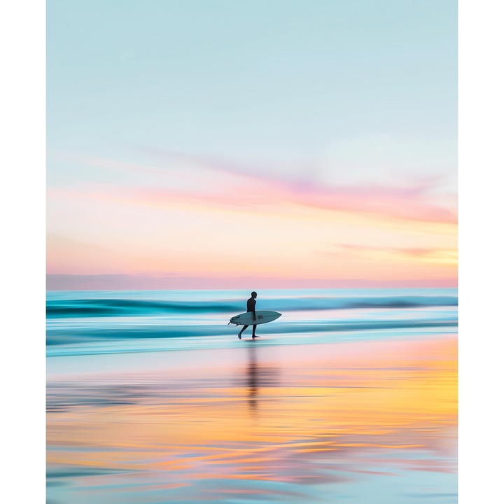 Tablou print pe canvas " PPF HQ 415A " 40x60 cm