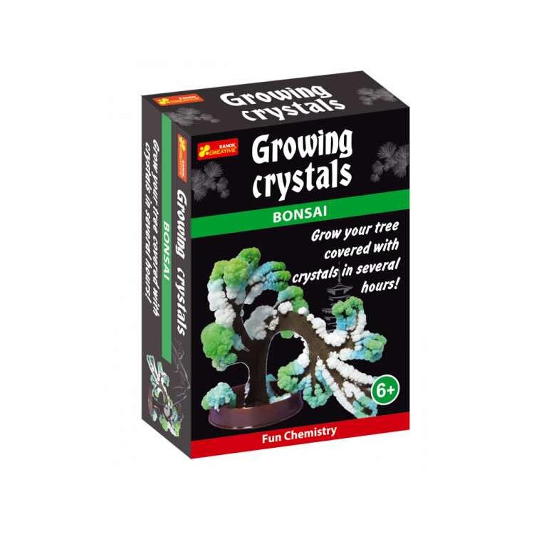 Cristale care cresc Bonsai RANOK