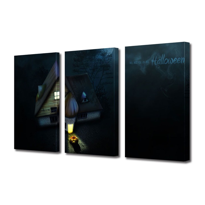 Set Tablouri Multicanvas 3 Piese Halloween Dovleac singur, 100 x 210 cm