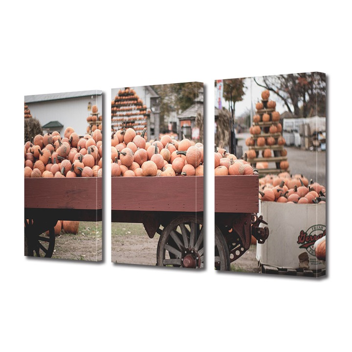 Set Tablouri Multicanvas 3 Piese Halloween Targ de Halloween, 100 x 210 cm