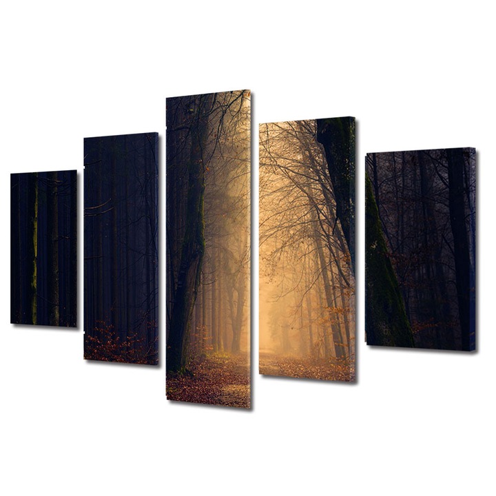 Set Tablouri Multicanvas 5 Piese Halloween Culoar de lumina prin padure, 120 x 225 cm