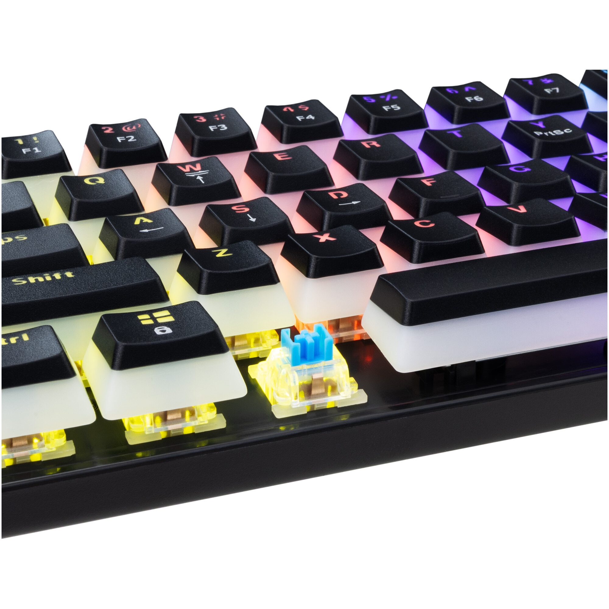 Tastatura Mecanica Gaming cu fir White Shark ASHIKO v2, BLUE
