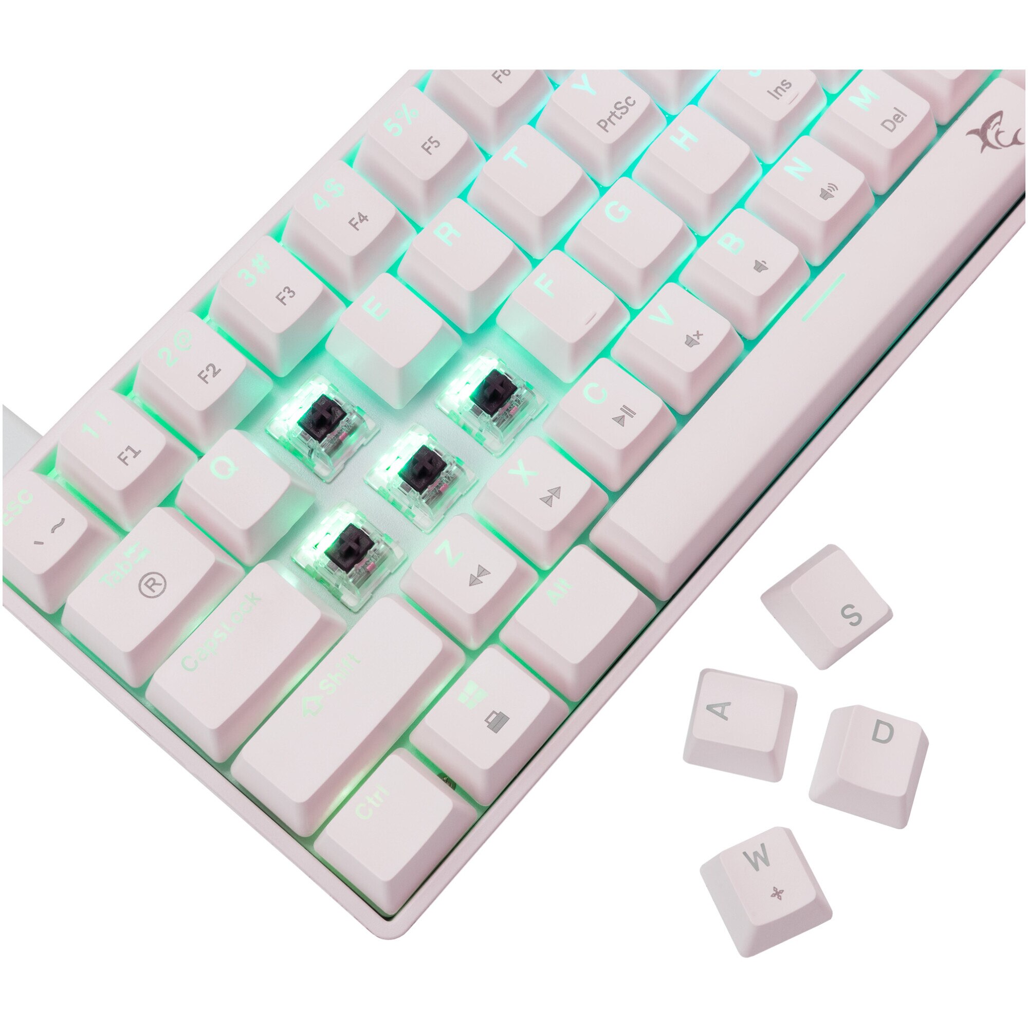 Tastatura Mecanica Gaming cu fir White Shark SHINOBI v2, BROWN