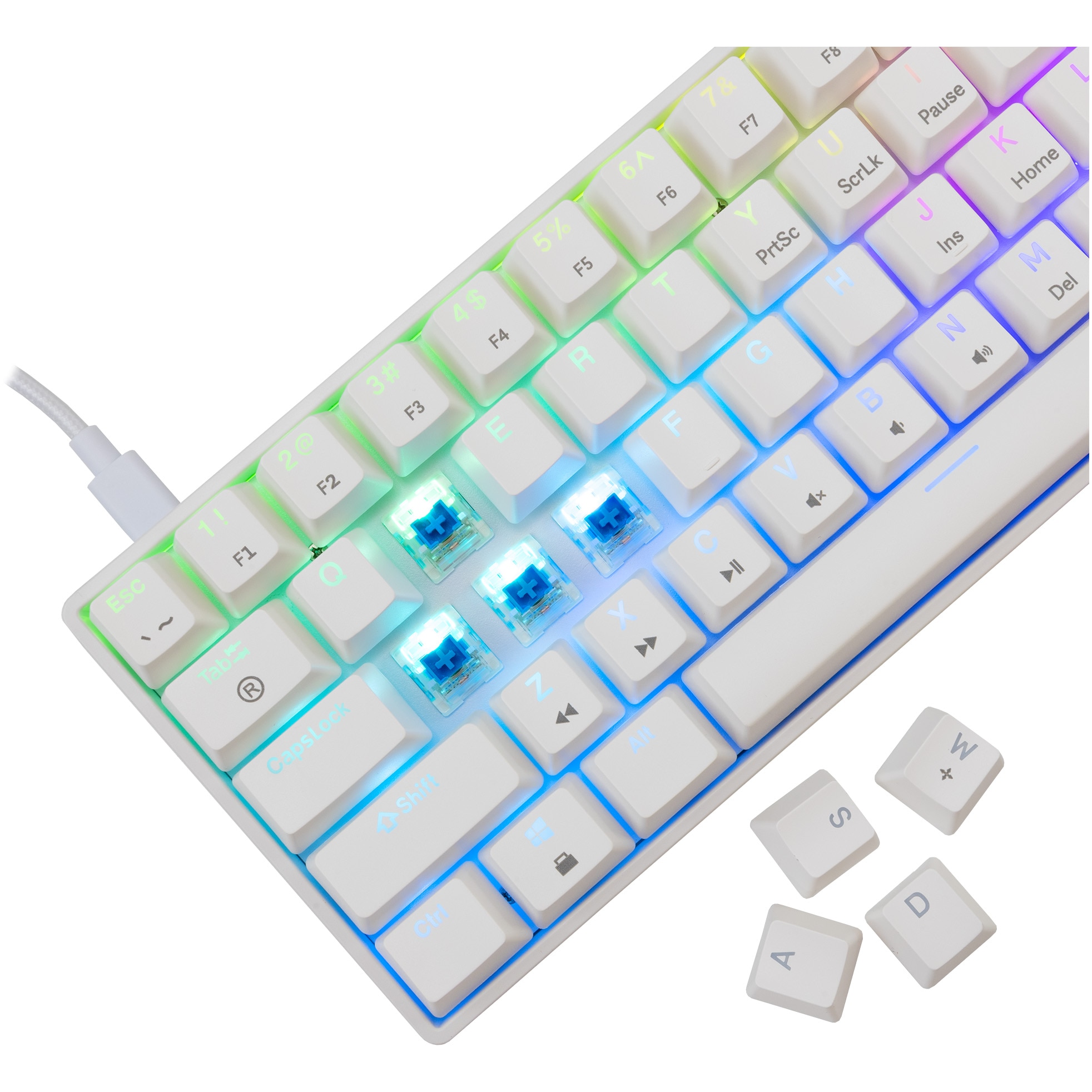 Tastatura Mecanica Gaming cu fir White Shark SHINOBI v2, BLUE