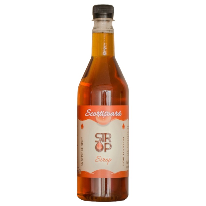 Sirop Cafea STROP aroma alune de padure