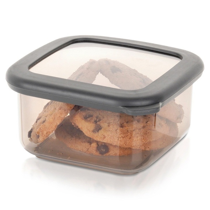 Cutie alimentara EXCELLENT HOUSEWARE, 400 ml, 11x11x5,5 cm, gri transparent, cu capac