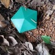 Fokelyi, habitat pentru melci, plastic, verde