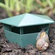 Fokelyi, habitat pentru melci, plastic, verde