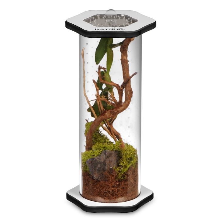 Terrárium, Terrario, Spiders Tube Tall200, akril, pókoknak, imádkozó sáskákhoz, szellőző, kicsi