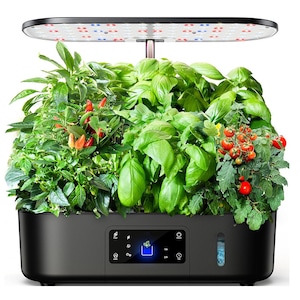 Ghivece si suporturi