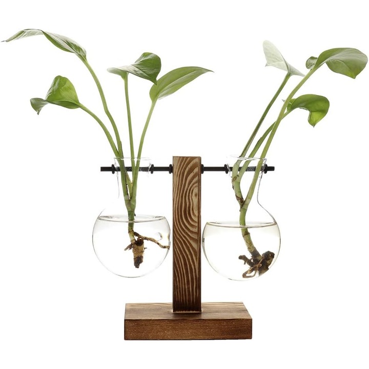 Vaze hidroponice vintage, vaze transparente, rame din lemn si sticla, decor bonsai