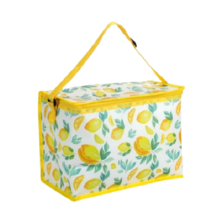 Geanta termo-izolanta pentru alimente si bauturi, EH Excelent Houseware, 4 litri, 200 x 150 x 150 mm