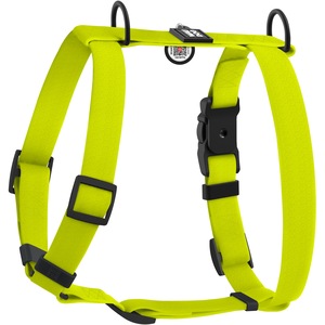 Каишки, нашийници и нагръдници