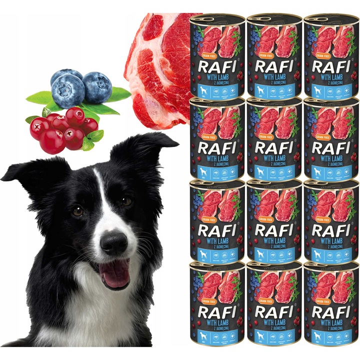 Hrana umeda caini Rafi 12x400g miel afine merisoare