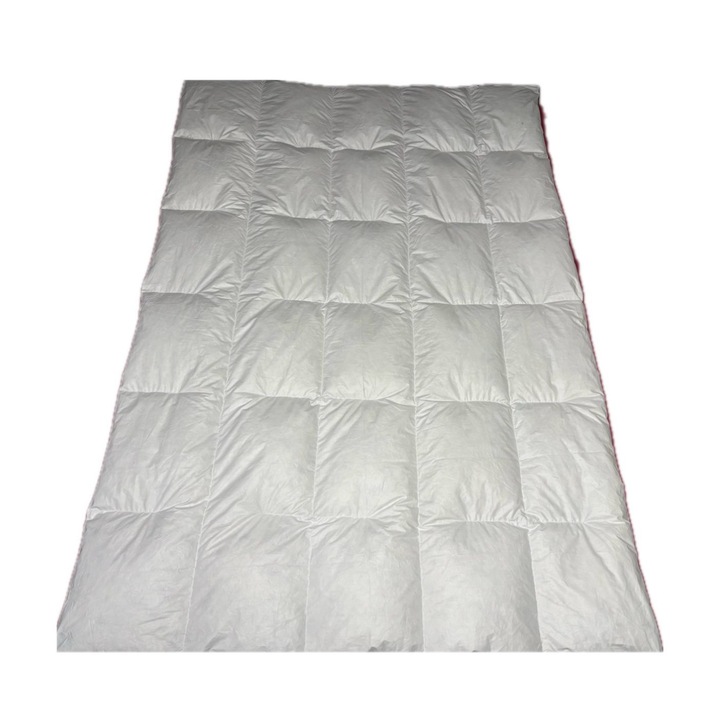 Plapuma din 30% puf de gasca, PopClean, alb natur, 140x200cm, 2,5 kg