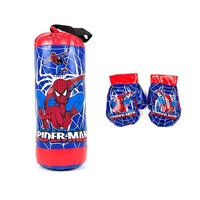 Sac de box pentru copii Spiderman, cu manusi, 38x15cm