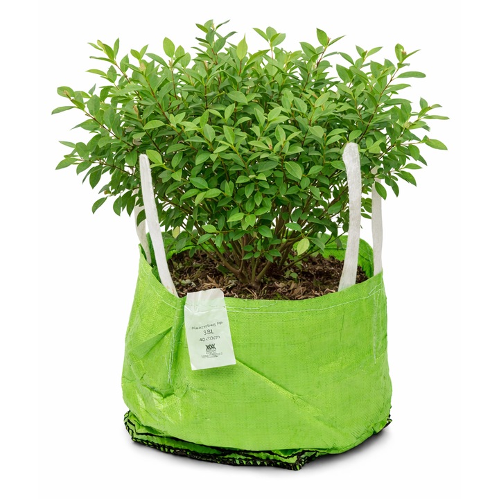 Geanta de jardiniera - recipient flexibil pentru cresterea plantelor. 45x30cm - 48,5L verde