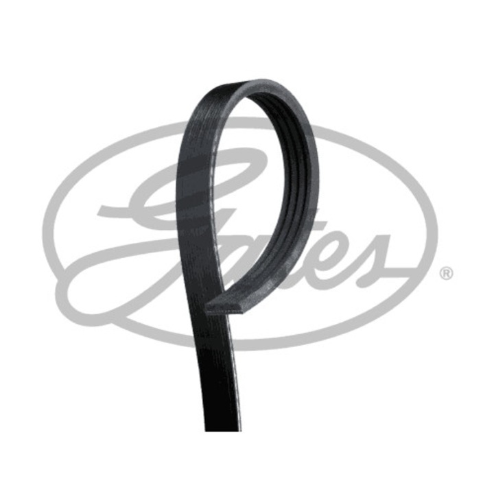 GATES 4PK928 curea trapezoidale cu mai multe nervuri