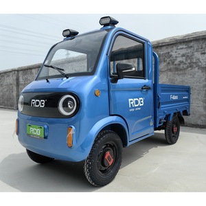 Alte vehicule electrice