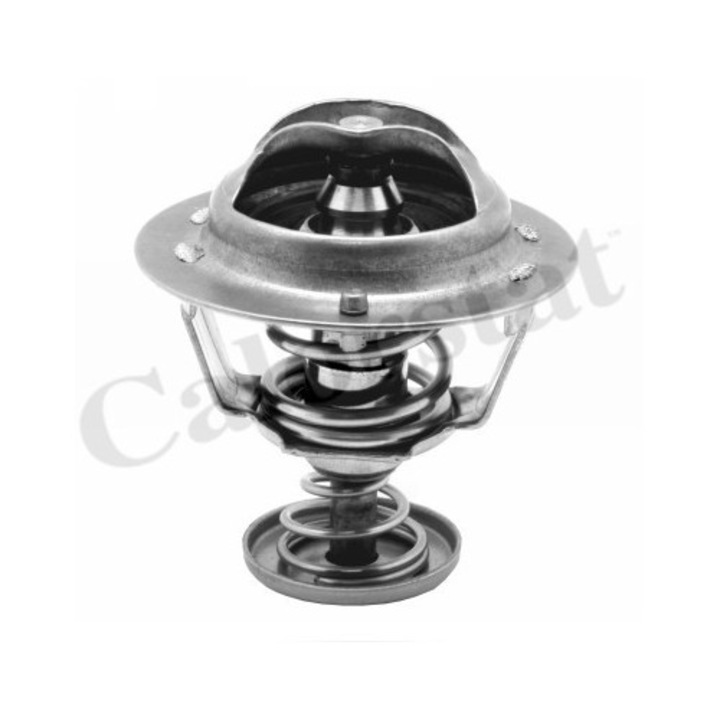 Termosztát, hűtőfolyadék CALORSTAT by Vernet TH6295.82J