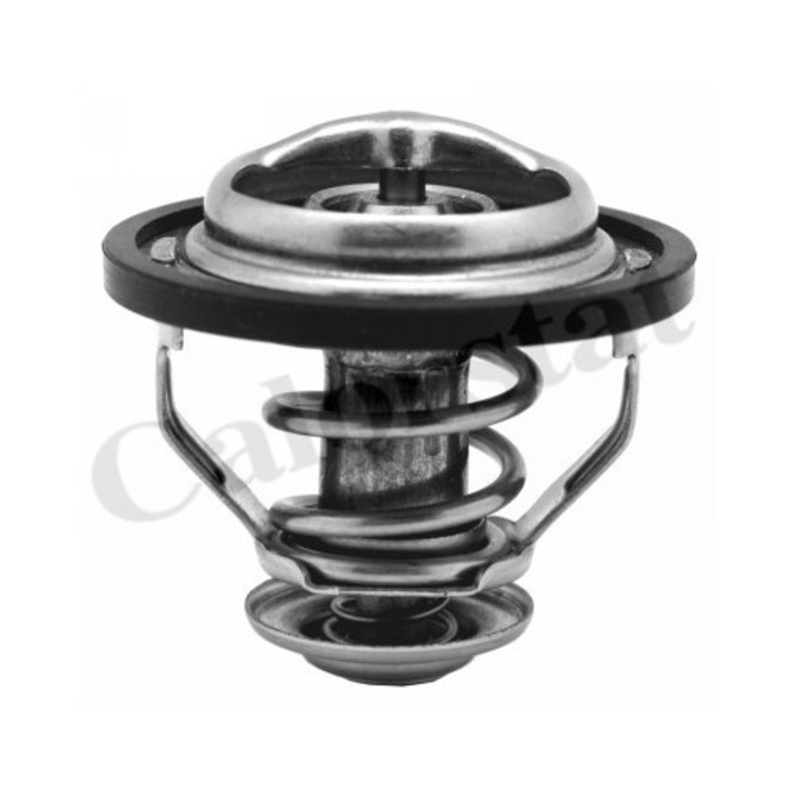 Termosztát, hűtőfolyadék CALORSTAT by Vernet TH5130.83J